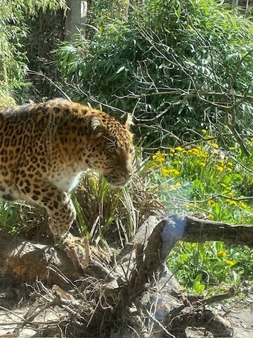 Im Zoo haben die SchülerInnen tolle Tiere gesehen.