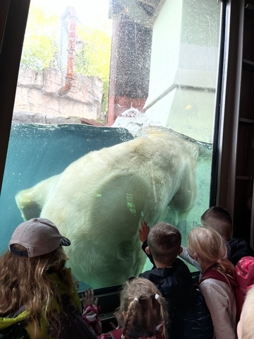 Im Zoo haben die SchülerInnen tolle Tiere gesehen.
