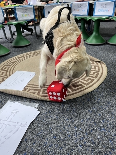 Unser Schulhund Skylar unterrichtet mit den Schülerinnen und Schülern