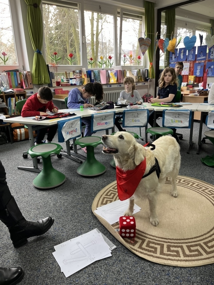 Unser Schulhund Skylar unterrichtet mit den Schülerinnen und Schülern