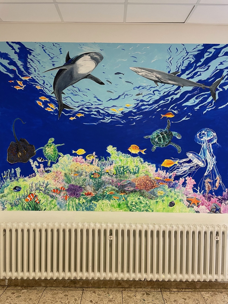 Ein Korallenriff wird an die Wand in Schule III gezeichnet.