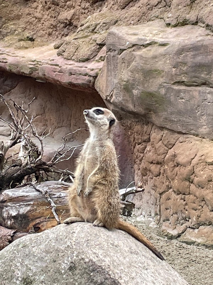 Besuch im Essehof