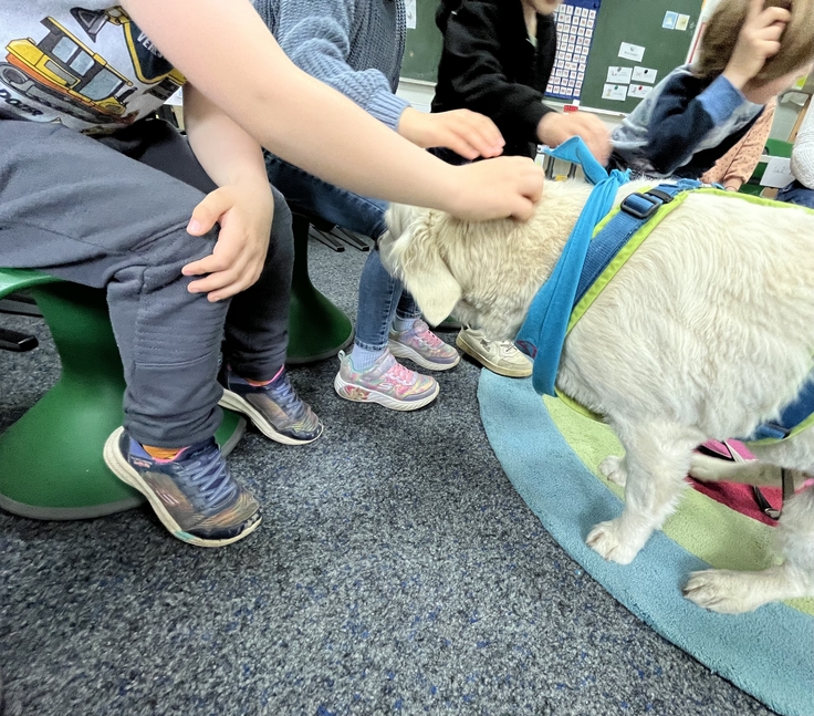Hündin Skylar besucht Kindergarten.