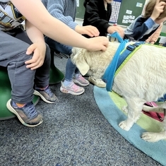 Hündin Skylar besucht Kindergarten.